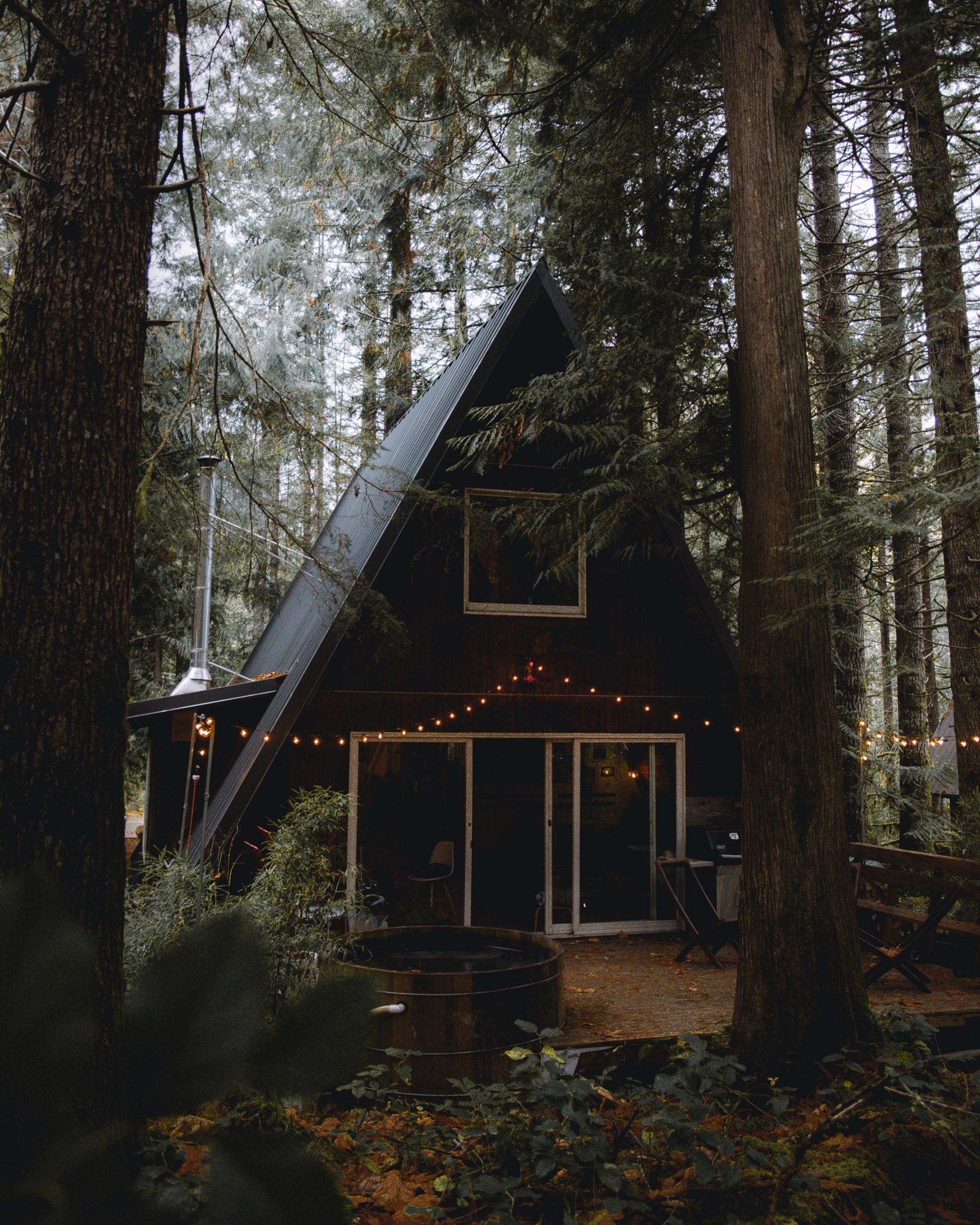 Triangular Eco cabin in the forest for a post on Greenwashing