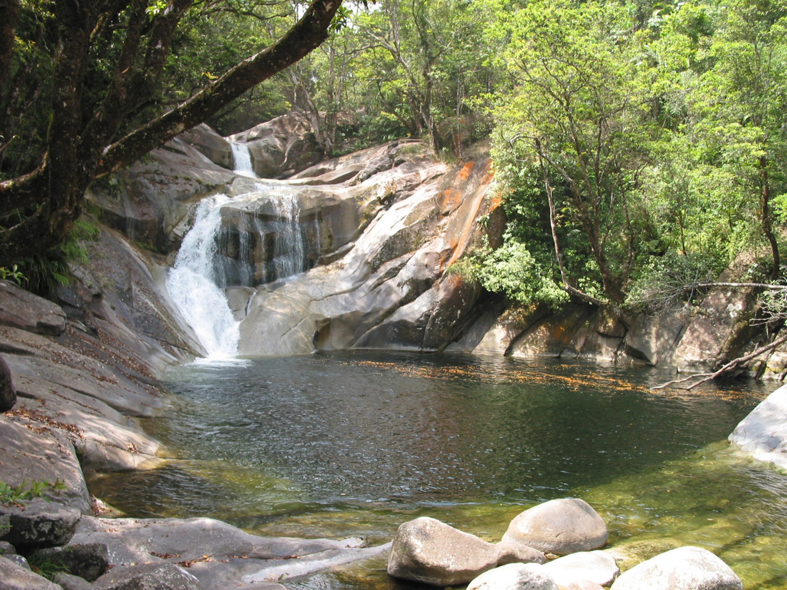 Josephine Falls in the Tablelands Queensland Australia