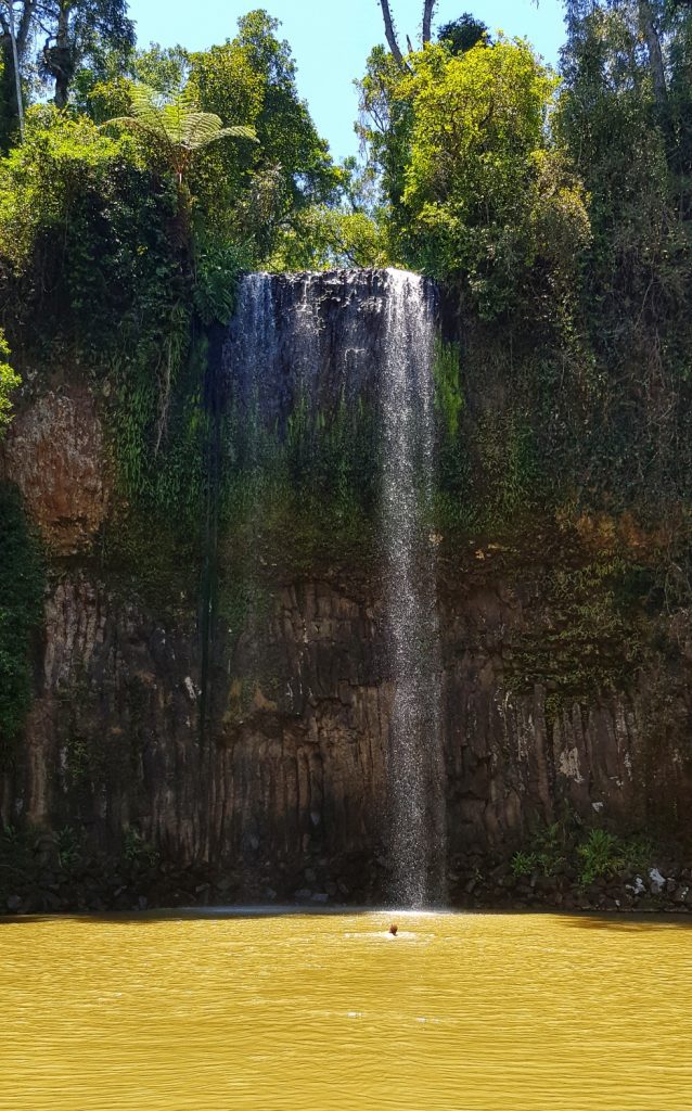 Millaa-Millaa-falls Millaa Millaa Falls in the Tablelands Queensland Australia