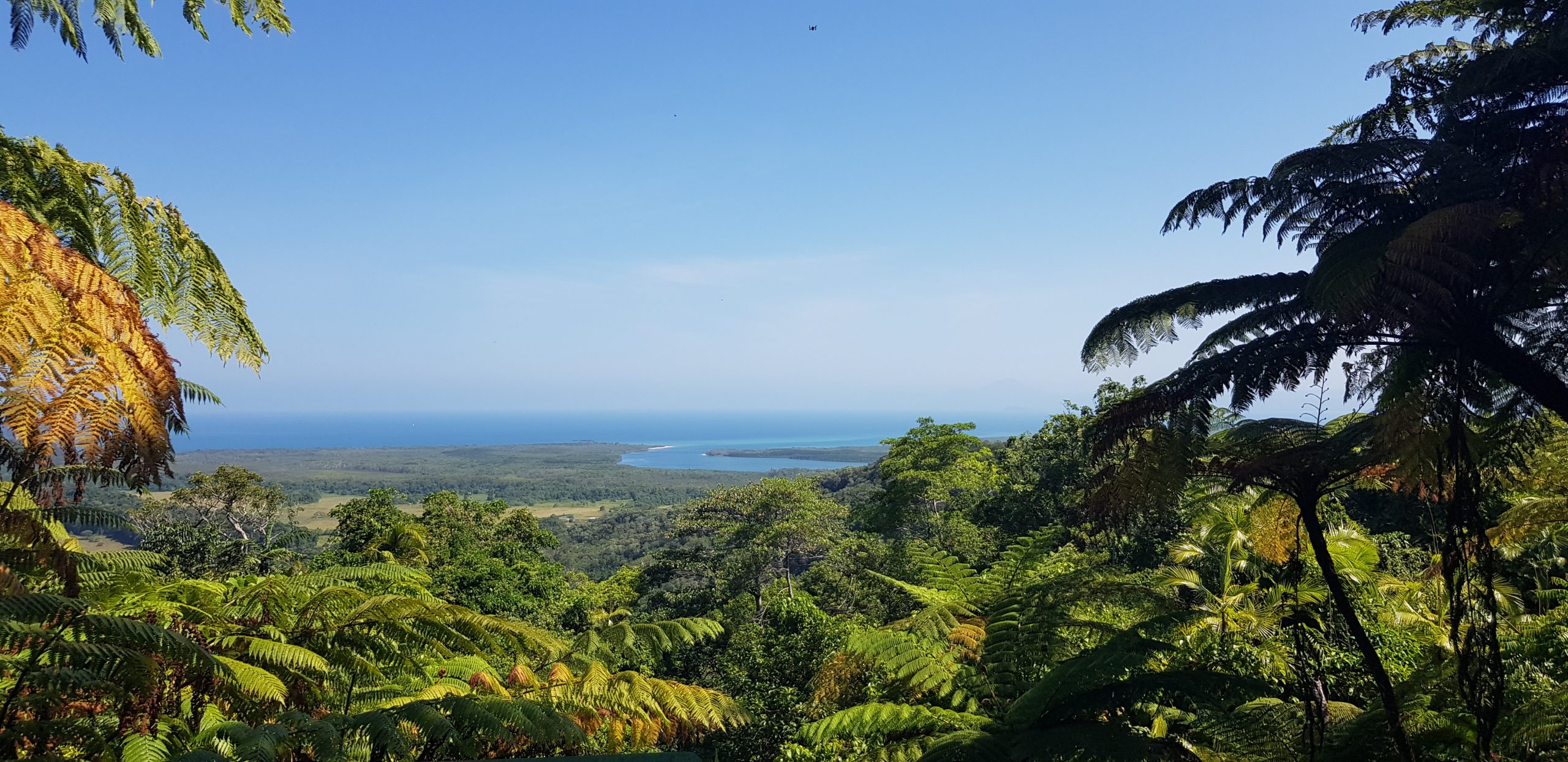 Mount Alexandra in the Daintree Rainforest, Queensland Australia