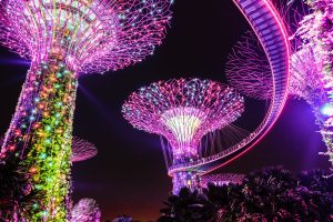 Gardens by the Bay Light Show in Singapore