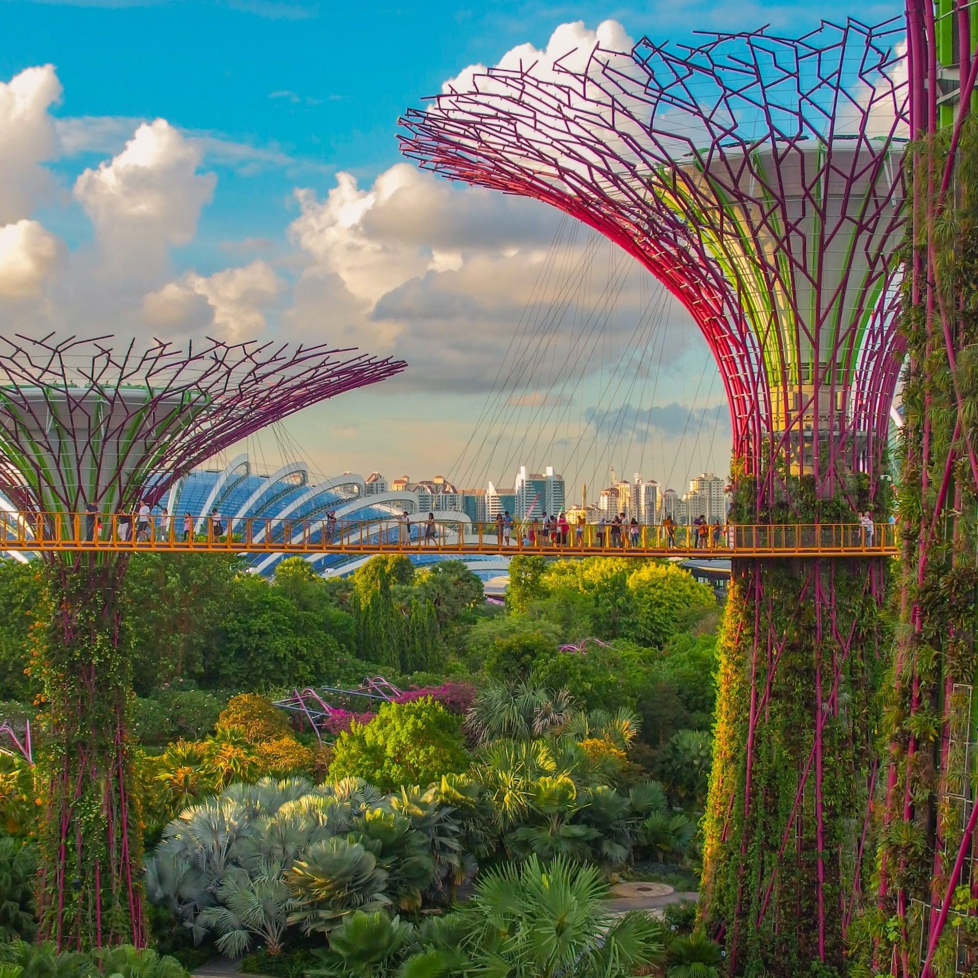 Gardens by the Bay SkyWalk in Singapore for travel blog Brads Backpack