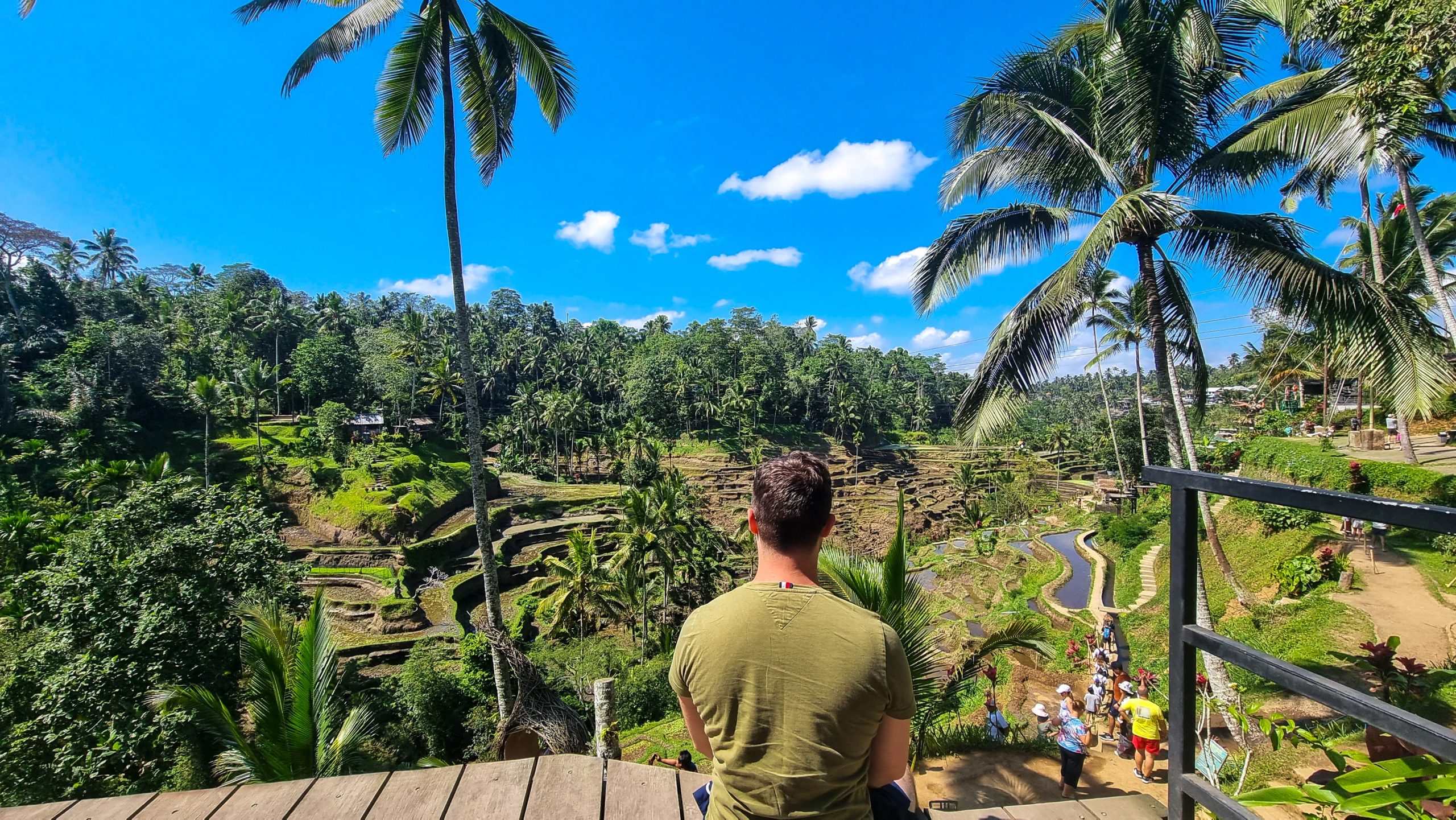 The Bali swings in Indonesia, the abian rice terraces