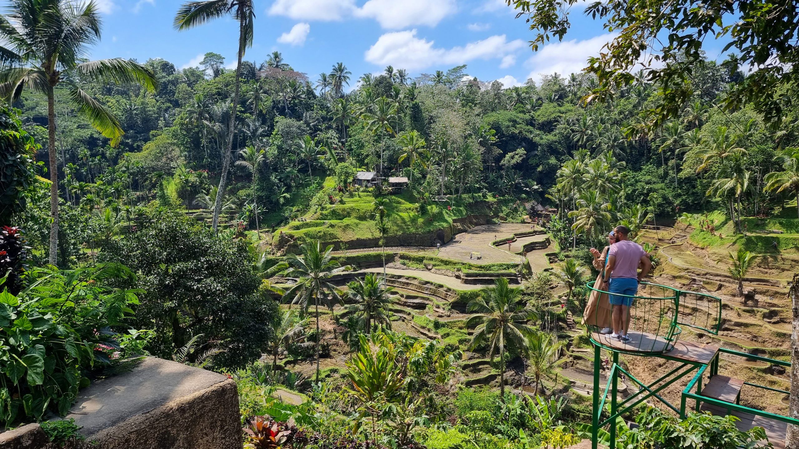 view point within the Bali swings Abian Rice Fields