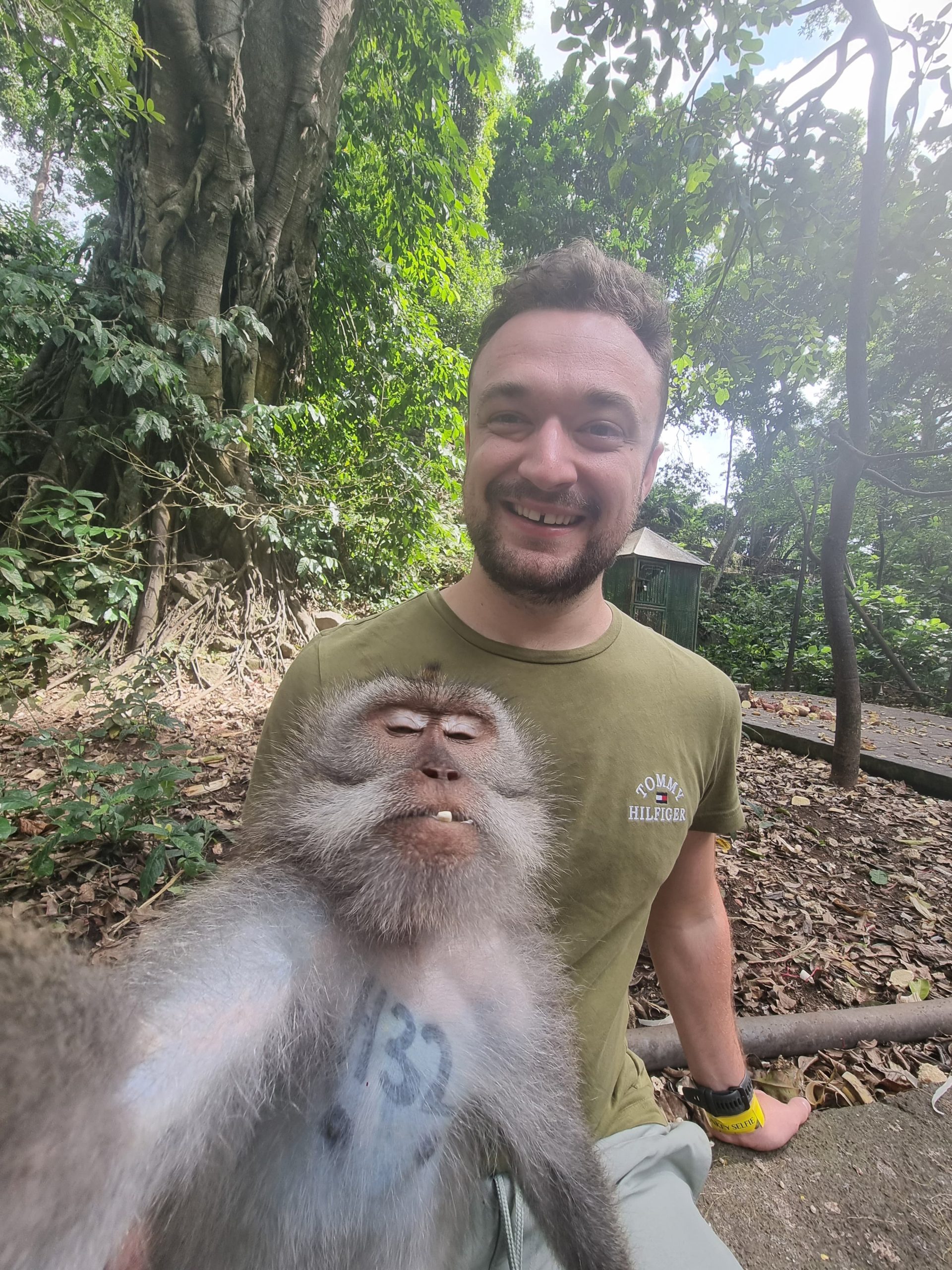Monkey Selfie in the Monkey Forest Ubud Bali