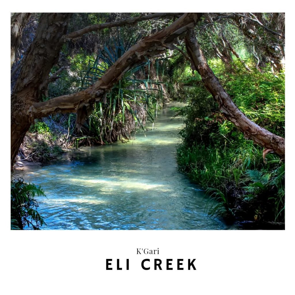 Eli Creek Link Link to Eli Creek in K'Gari East Coast Australia