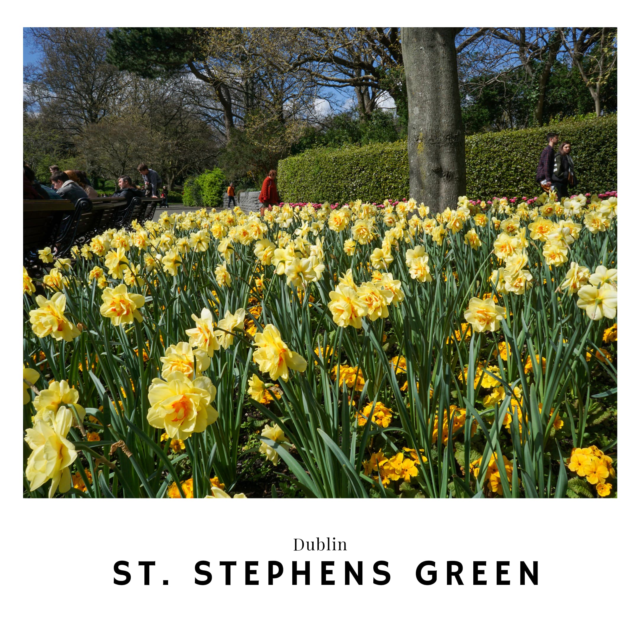 Link to St Stephens Green in Dublin