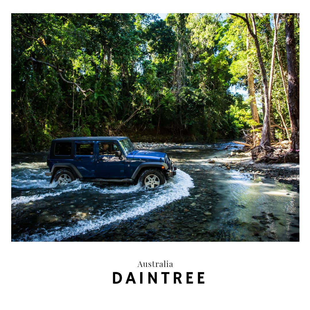 Link to the Daintree travel guide