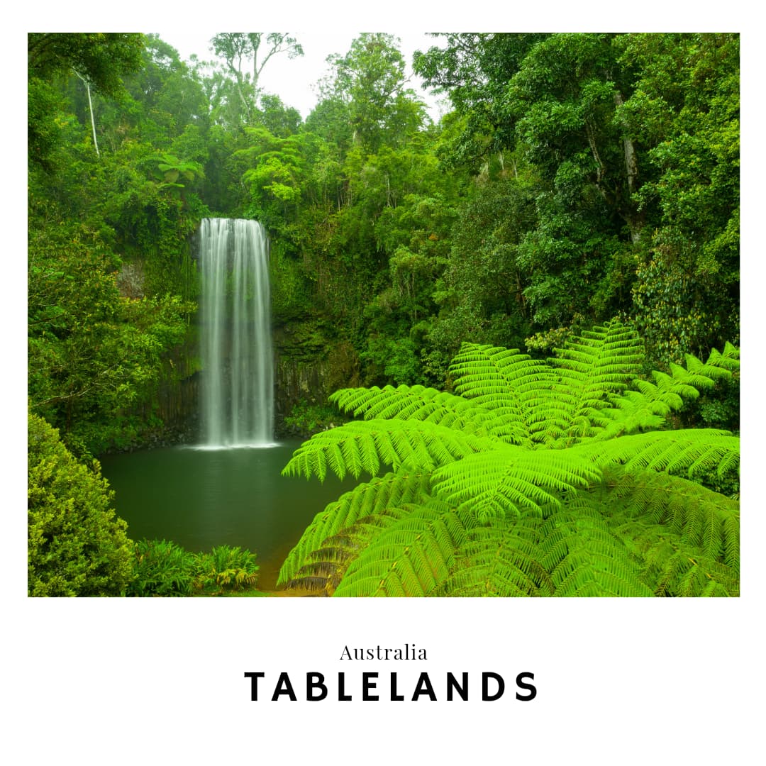 Link to the Tablelands Travel Guide