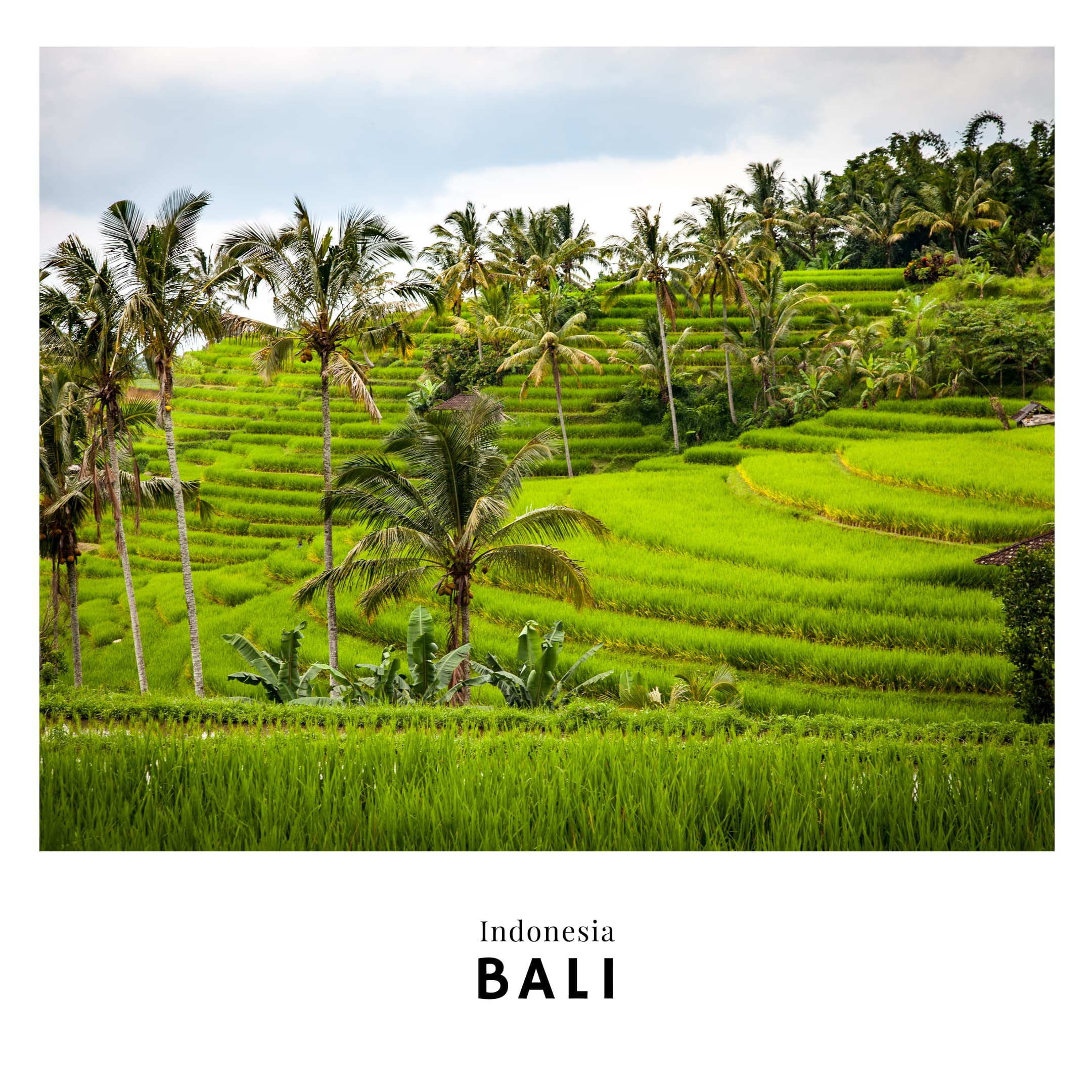 Link to Bali travel guide