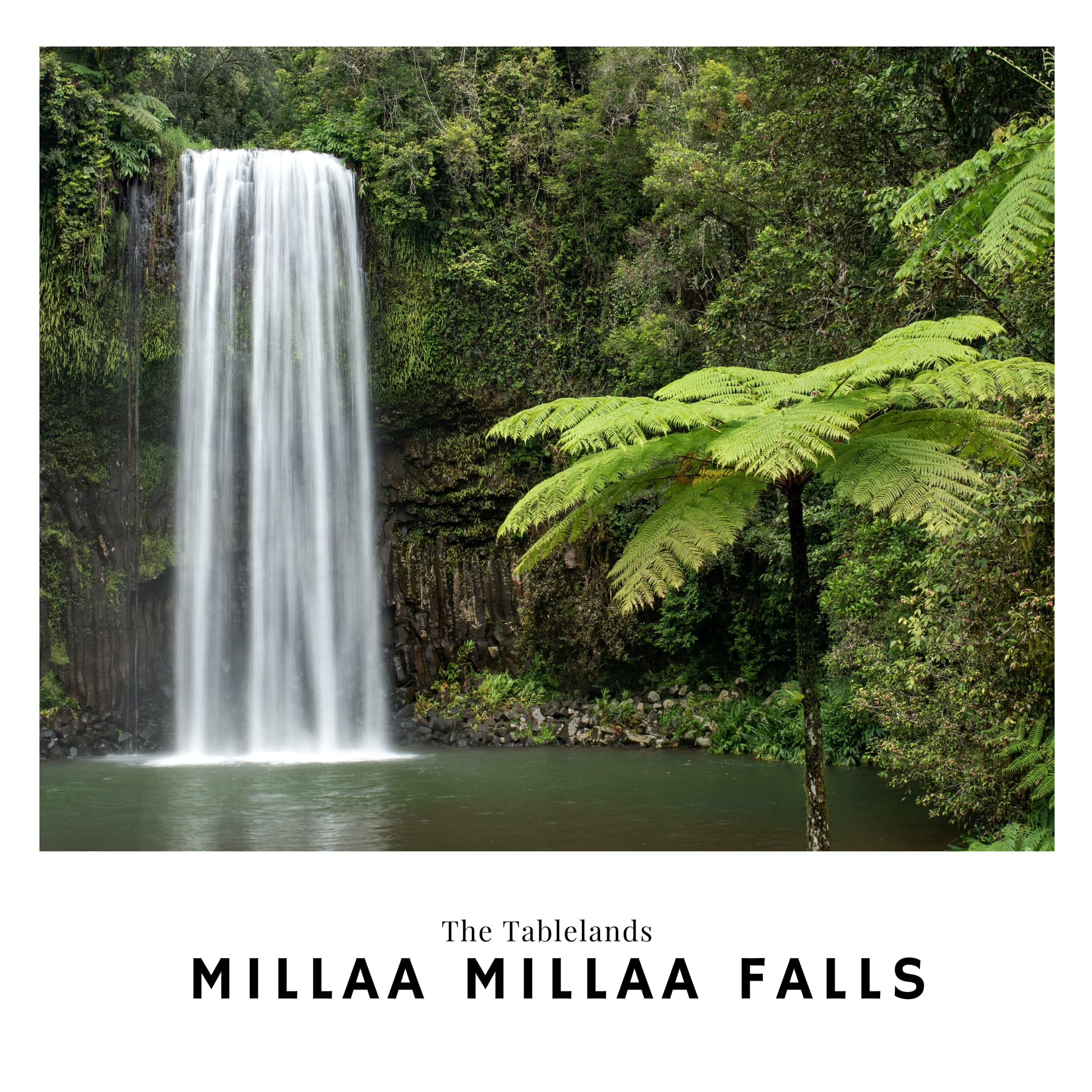Link to the Millaa Milla Falls travel guide in Australia