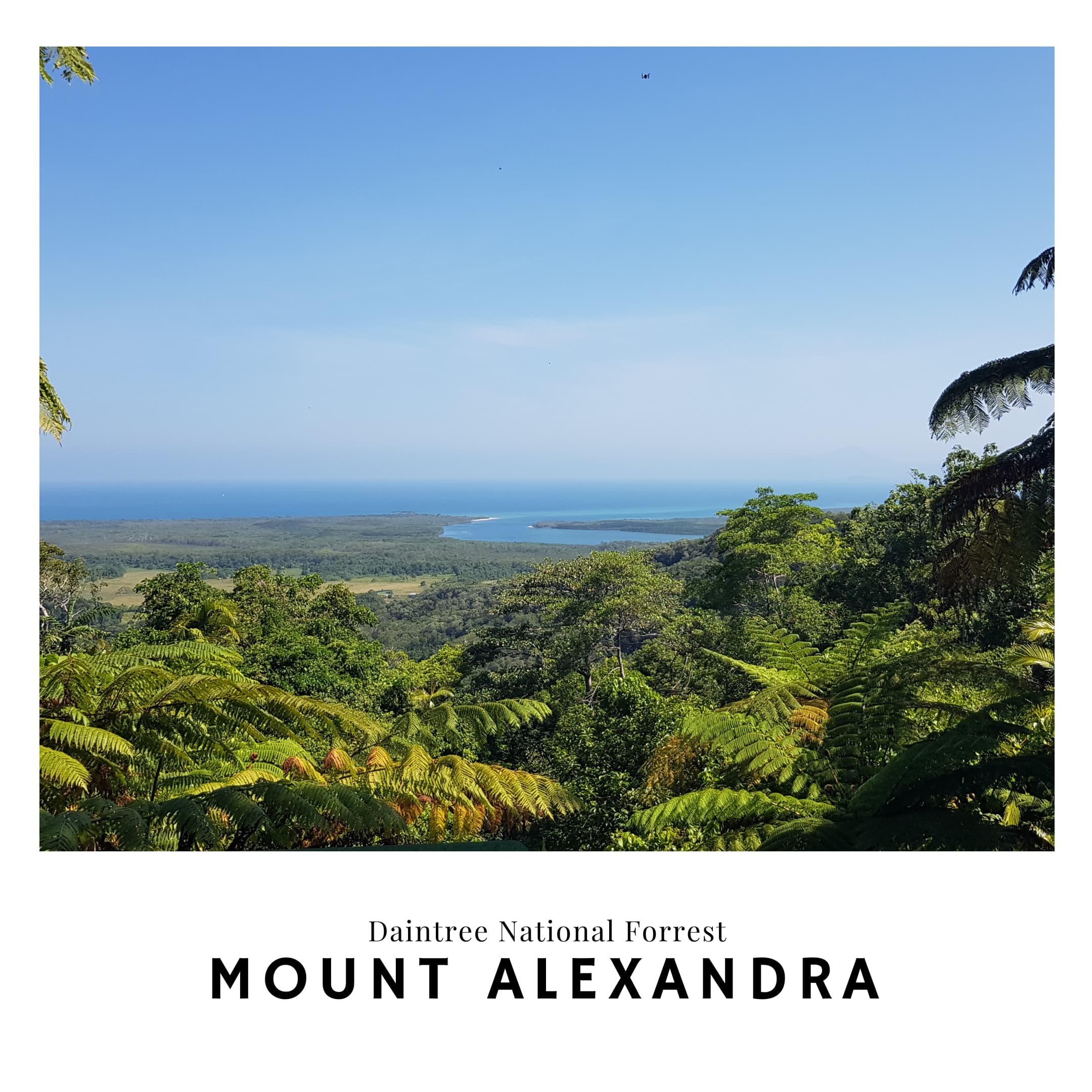 Link to the Mount Alexandra