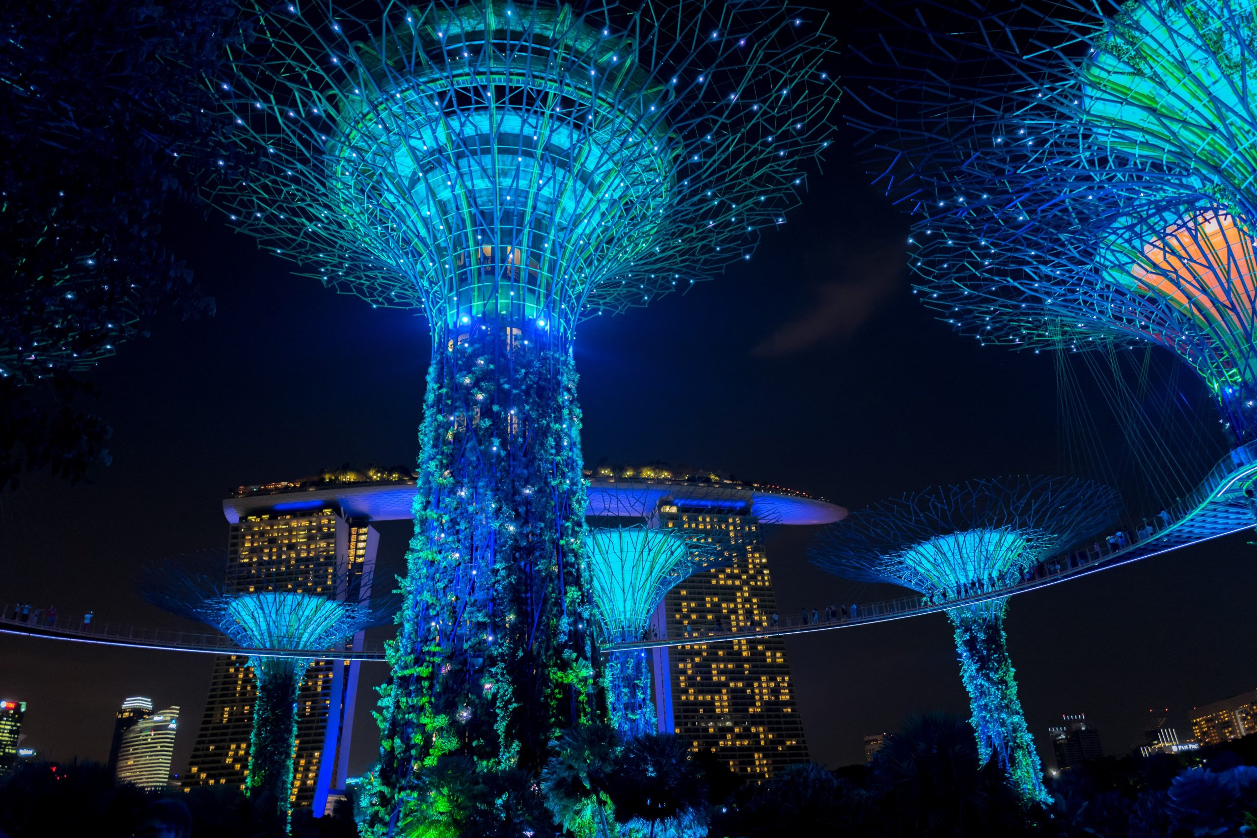 Supertree Observatory at night in Singapore