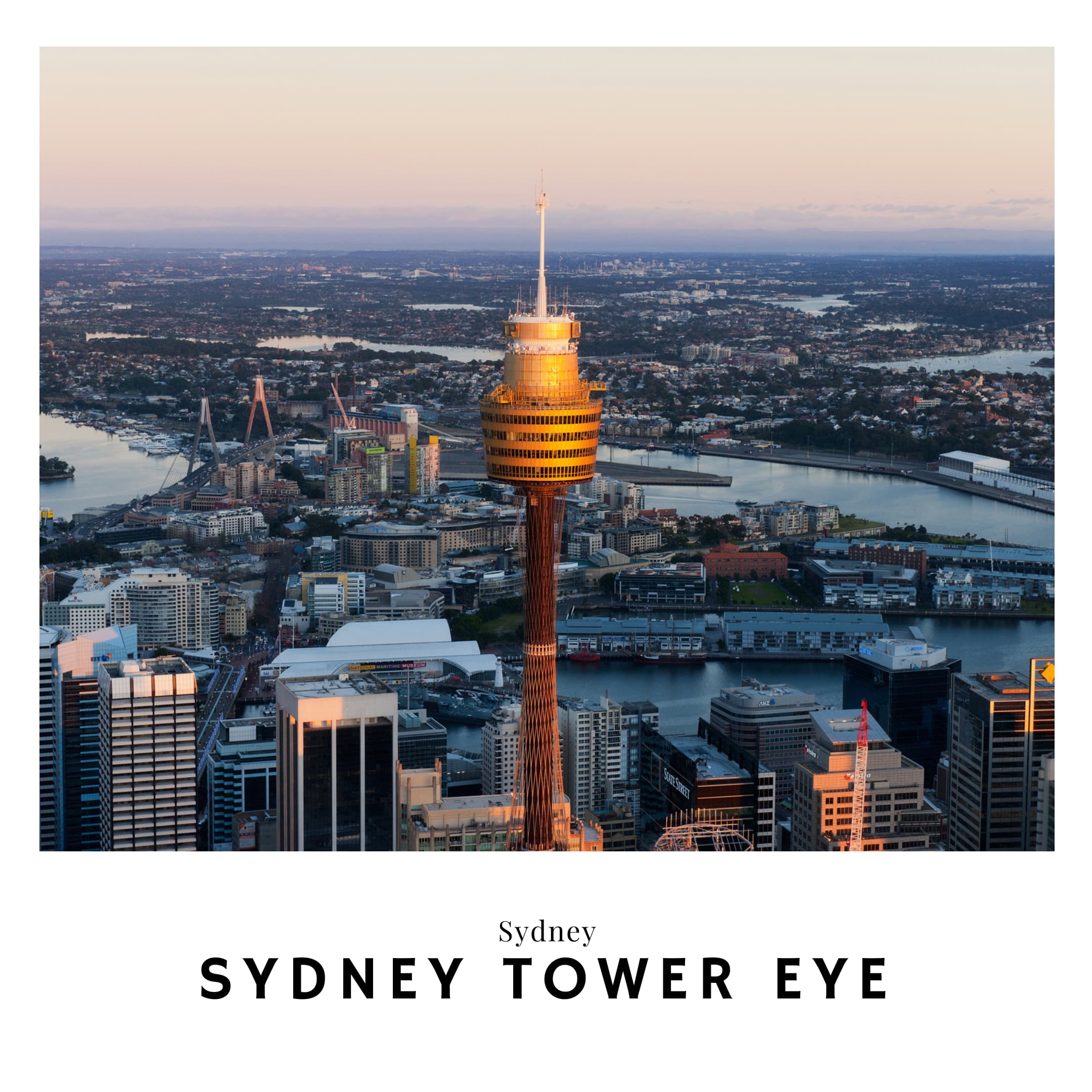 Link to the Sydney Tower eye travel guide