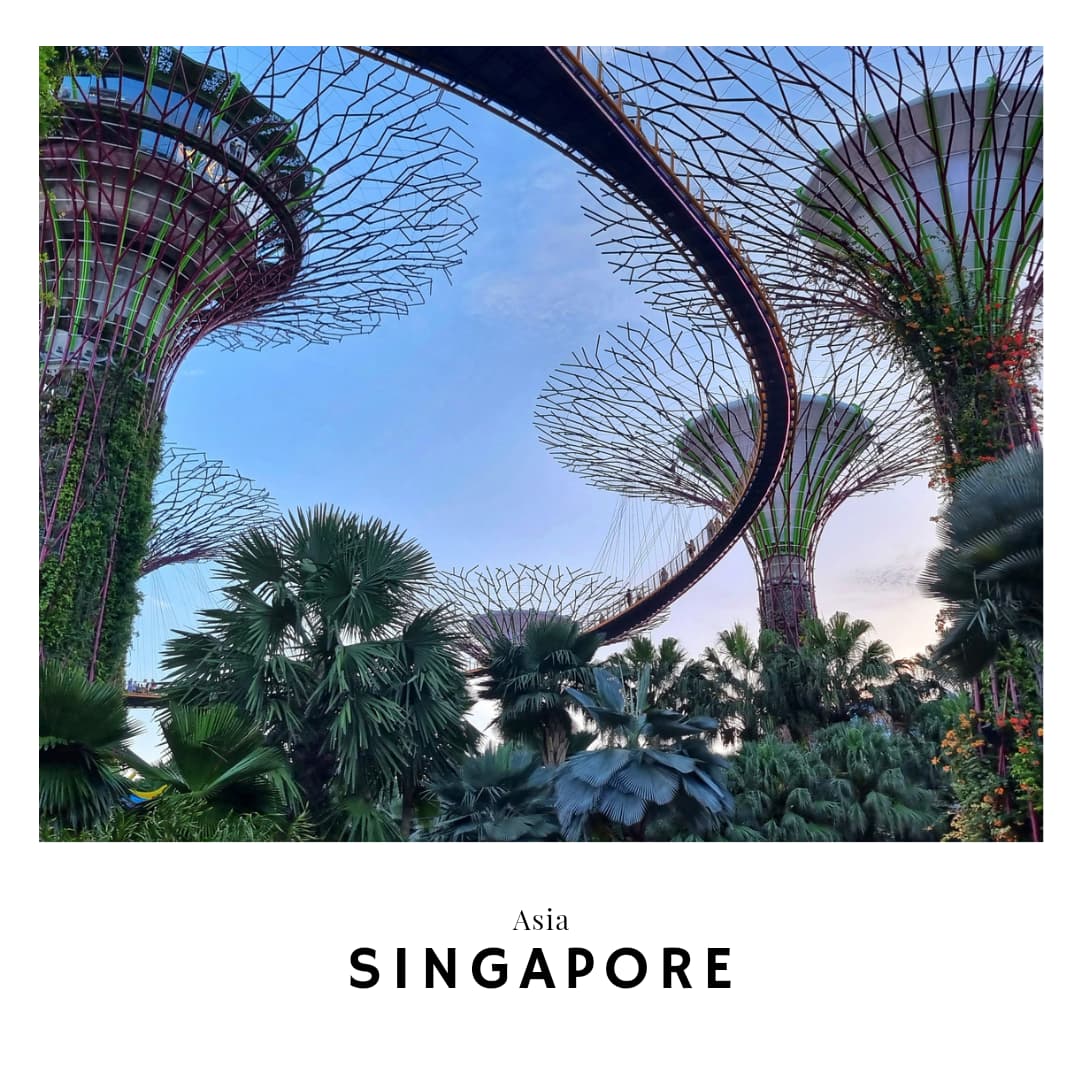 Link to the Singapore Travel Guide