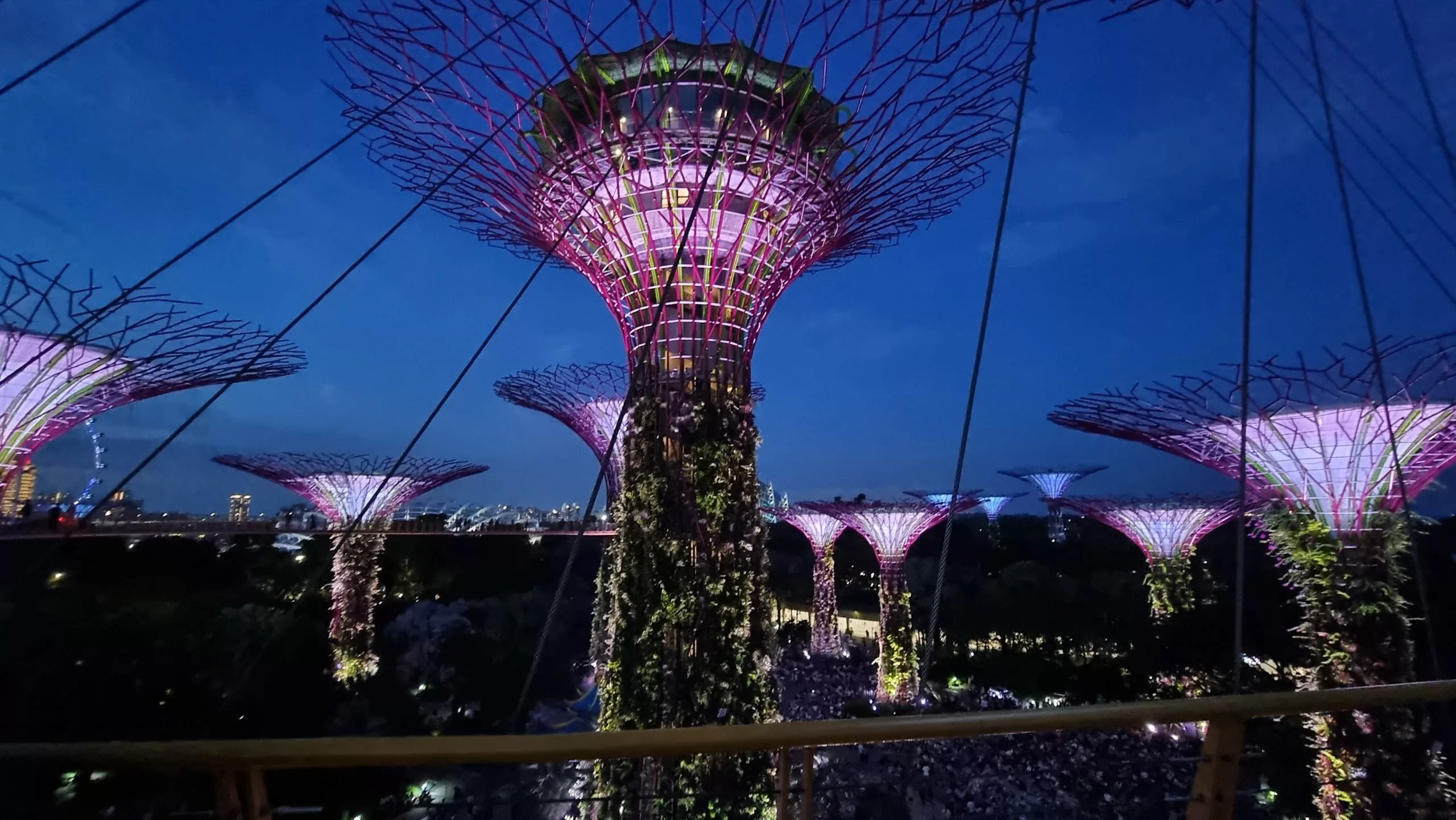 Supertree Obersvatory View of the Supertree Observatory from the OCBC Skyway