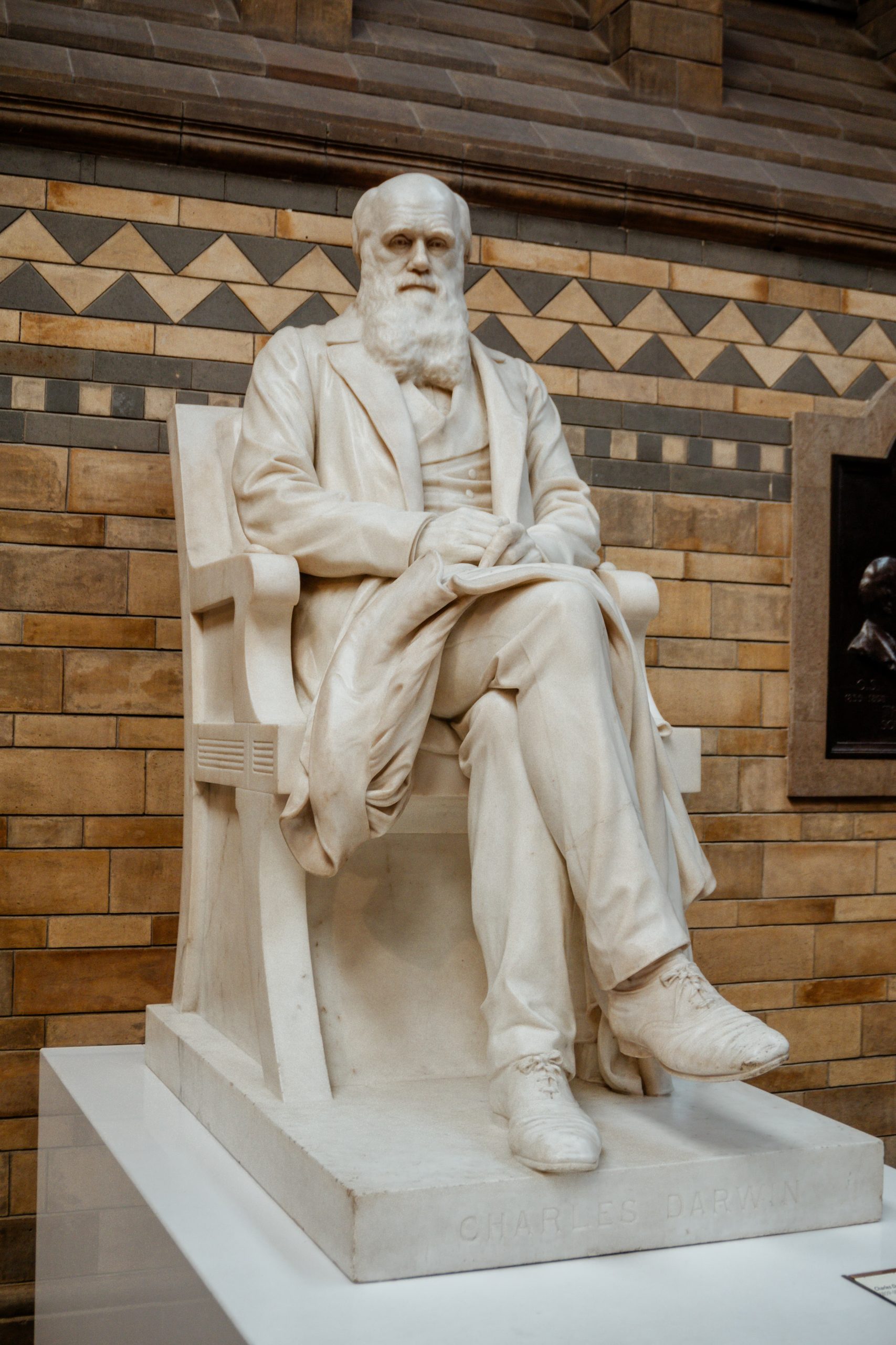 Charles Darwin statue Natural History Museum London