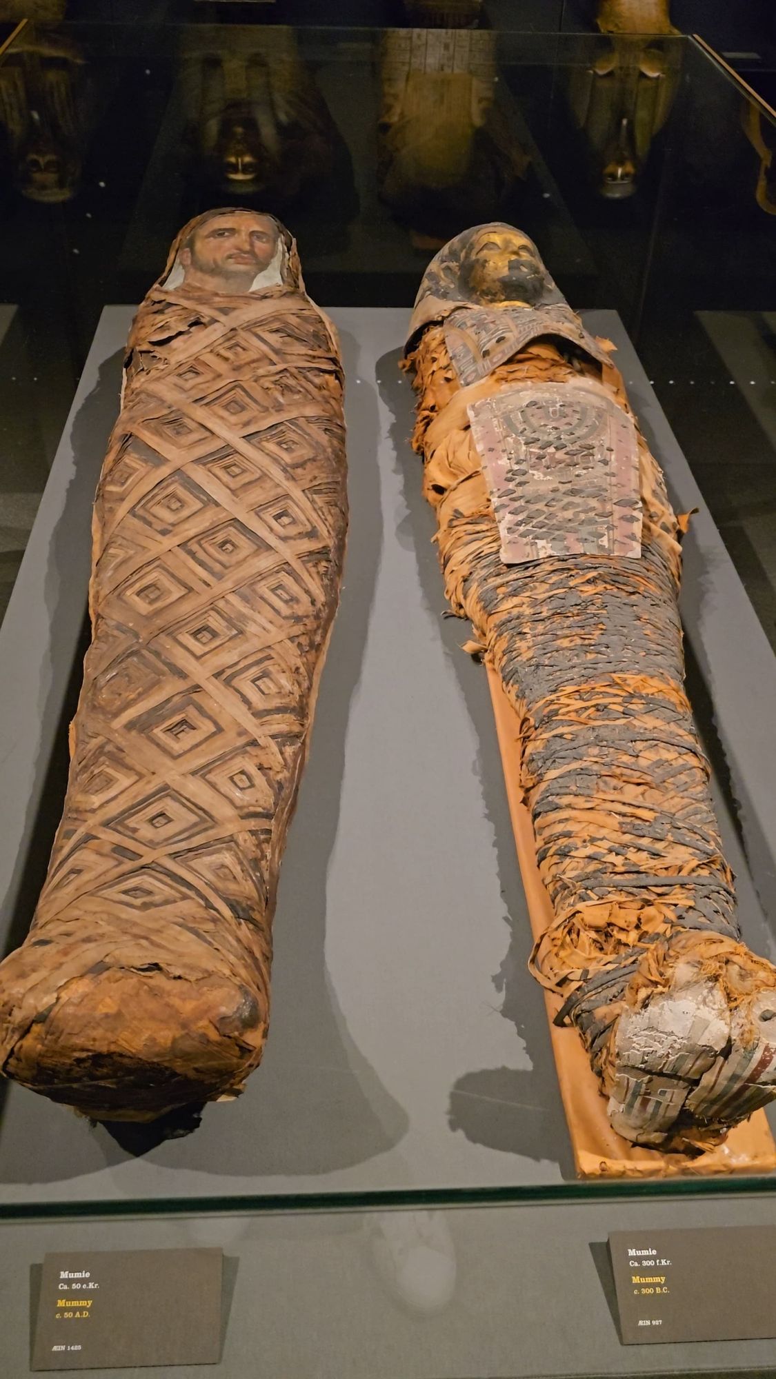 Mummies in the Museum Copenhagen Denmark