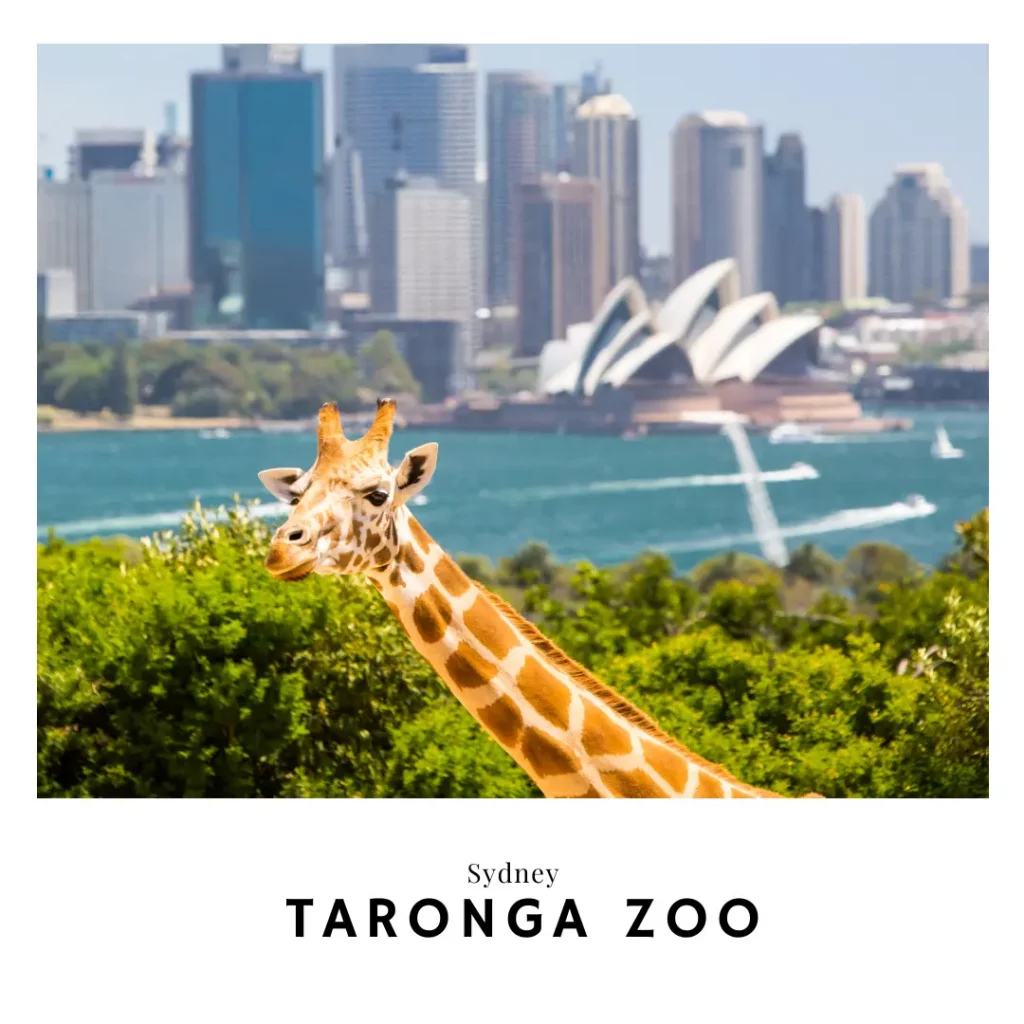 Taronga Zoo Taronga Zoo Sydney Australia