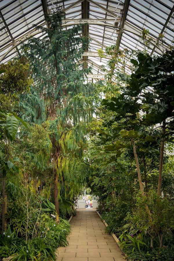 Palm House Botanical Gardens Kew Gardens