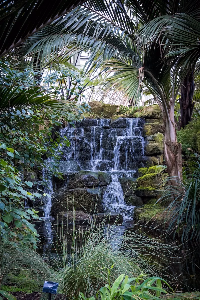 Kew Gardens - Temperate House Waterfall