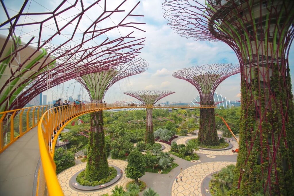 pexels-photo-12587259-12587259 Explore the breathtaking Gardens by the Bay with towering Supertrees and lush greenery in Singapore.