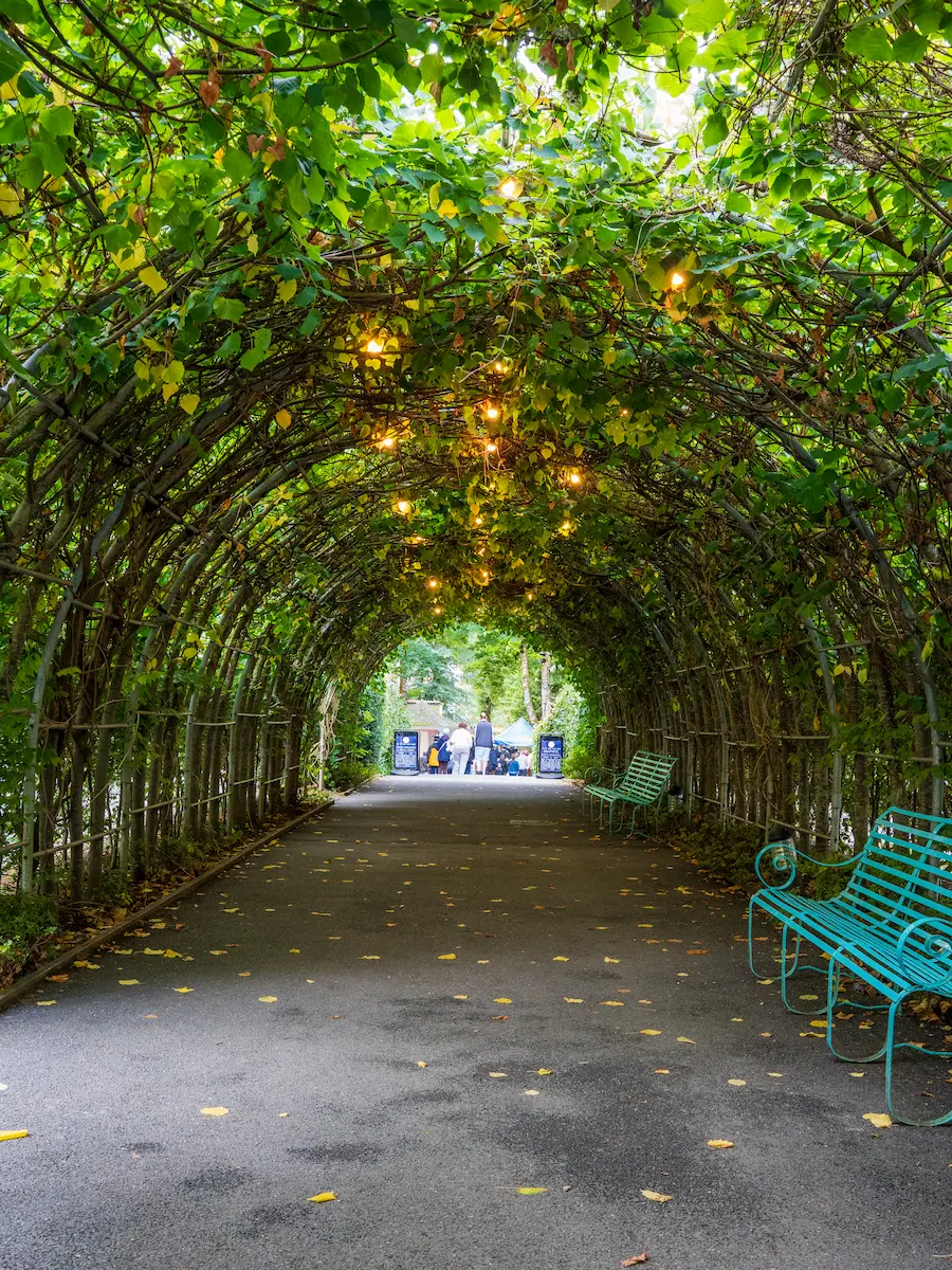 Portmeirion Entrance 3x4 Leaf-covered walkway with lights and turquoise benches in Portmeirion village, North Wales.